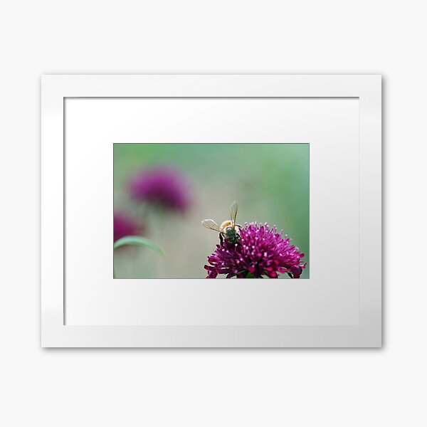 bee mine Framed Art Print