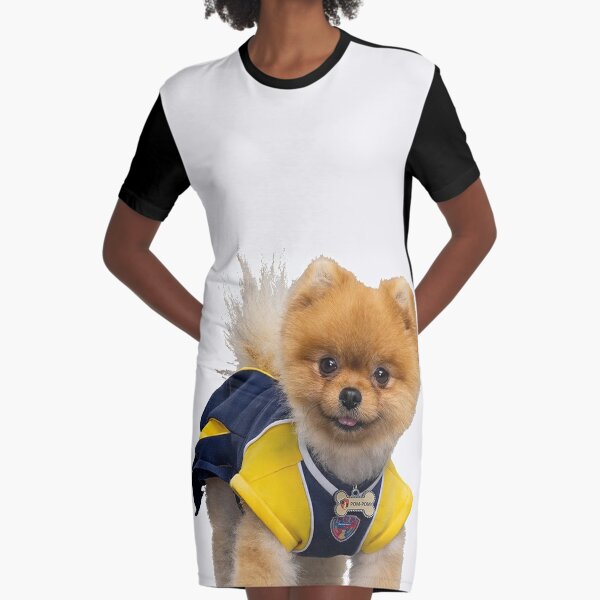 Whiz Pup Academy Show Graphic T Shirt Dress By Oldschool Kids Redbubble