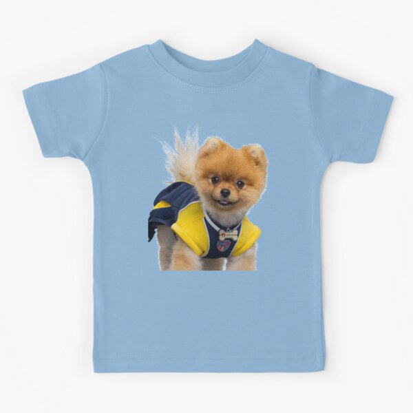 Labrador Kids T Shirts Redbubble