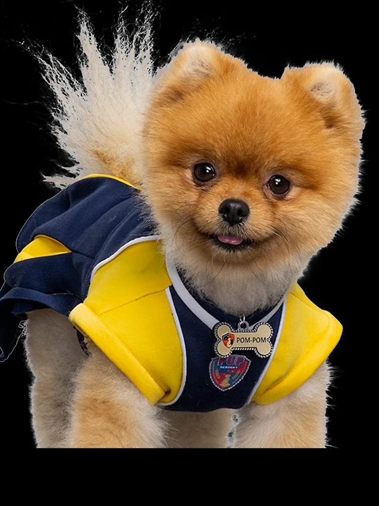 Pom-Pom, Pup Academy Wiki