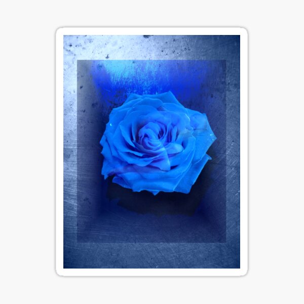 Picton Blue – Cerulean – Azure – Aquamarine Blue – Cerulean Color scheme