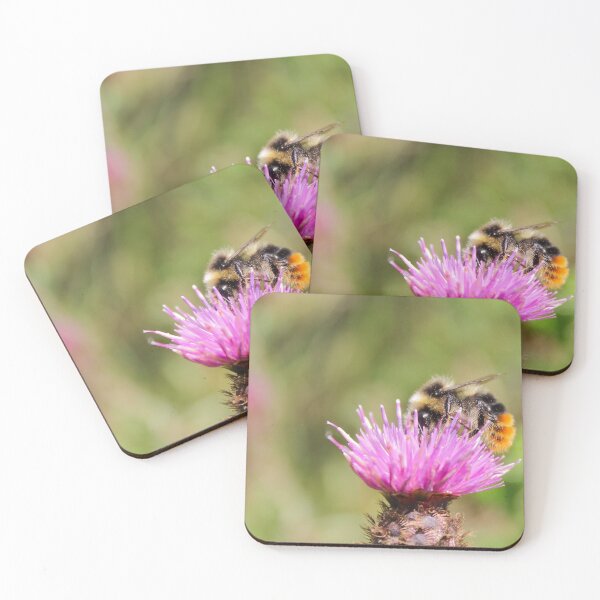 Item preview, Red-tailed Bumblebee designed and sold by Mya Bambrick.