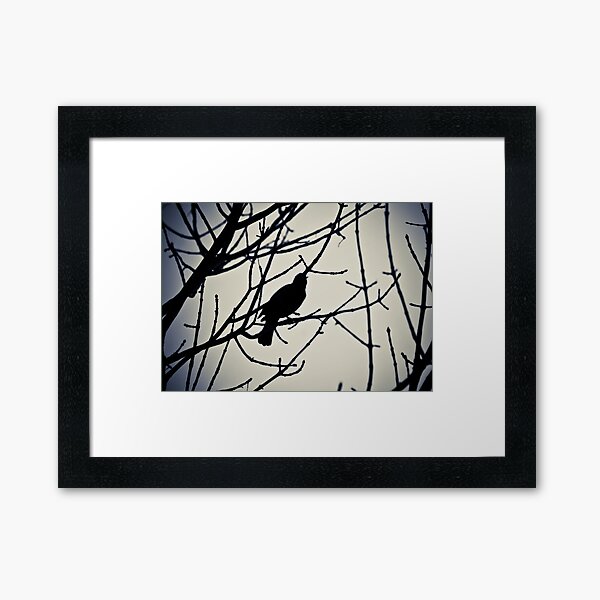 Bird Framed Art Print