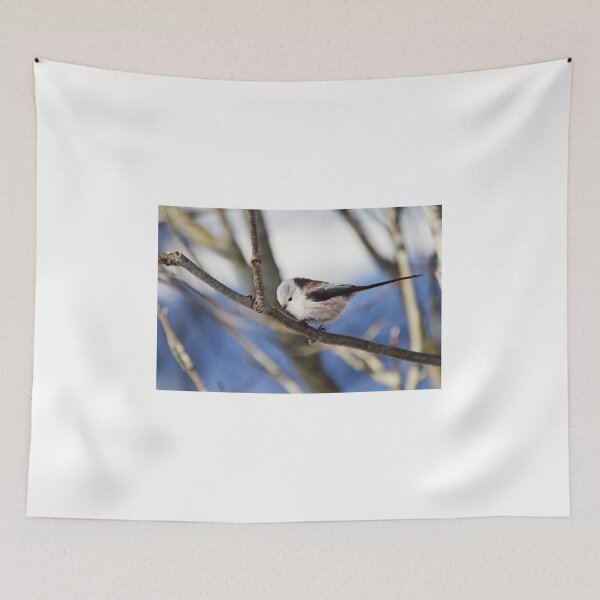 Item preview, Bob a curtsy.  Long-tailed tit designed and sold by Jouko Lehto Photography.