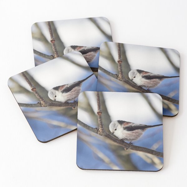 Item preview, Bob a curtsy.  Long-tailed tit designed and sold by Jouko Lehto Photography.