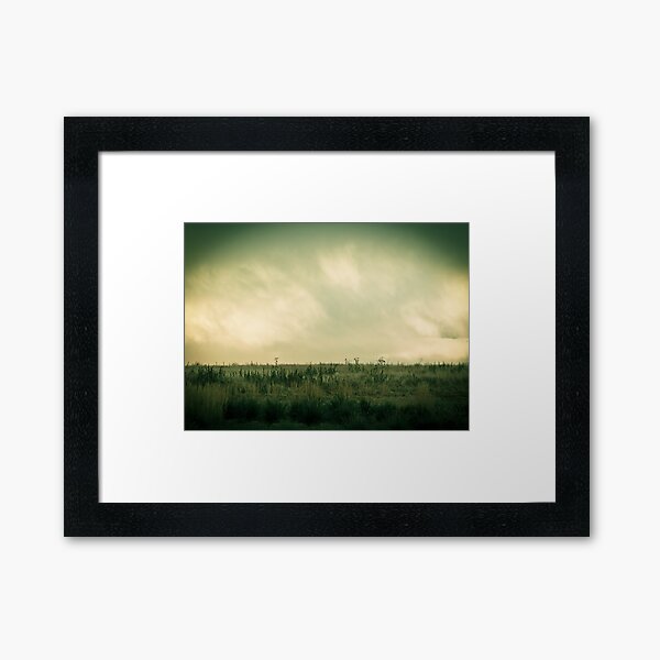 Field Framed Art Print