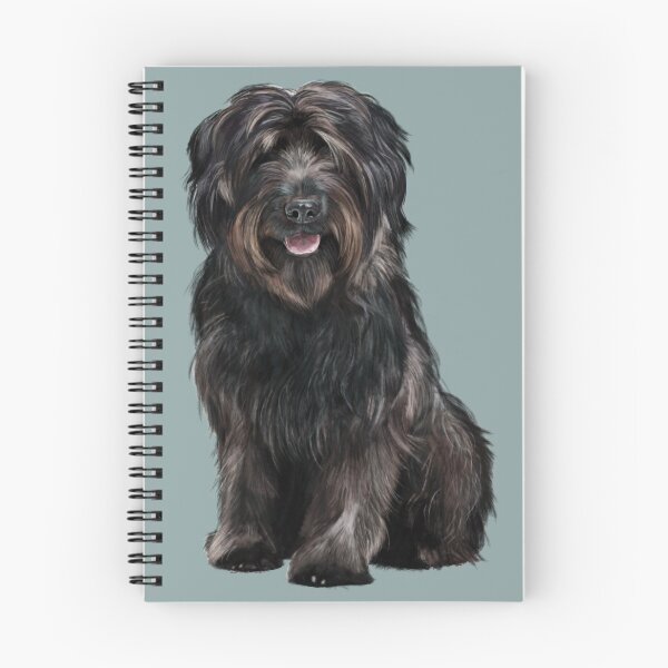 Item preview, The Catalan Sheepdog  designed and sold by Elspeth Rose Design.
