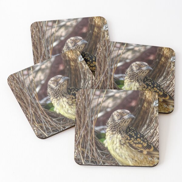 Item preview, Western Bowerbird designed and sold by SACRED NATURE DESIGNS.