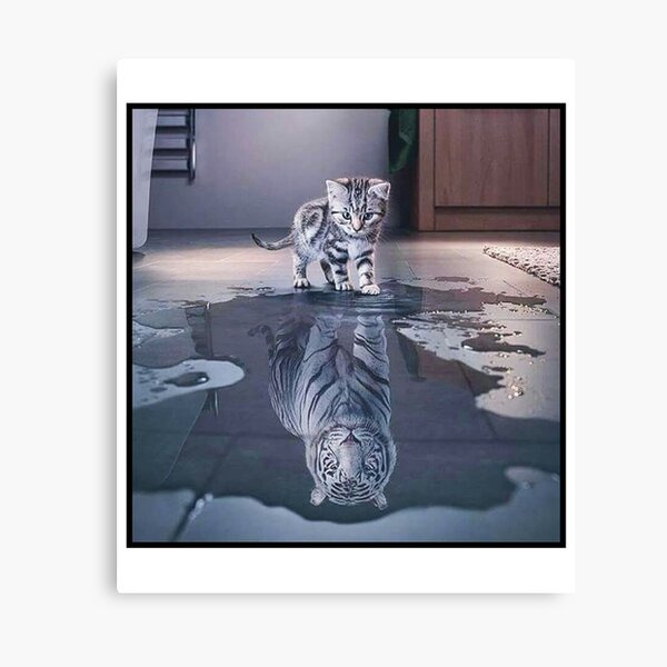Cat wants to be a tiger ! Canvas Print