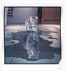 Cat wants to be a tiger ! Poster