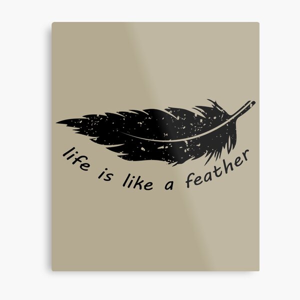 Life is like a feather it should be Metal Print