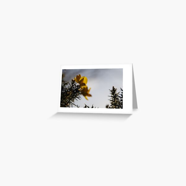 Yellow Gorse Dragons Greeting Card