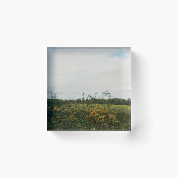 Item preview, Sitting Roadside designed and sold by Tessia Photography.
