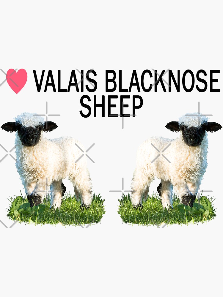 "Love Valais Blacknose Sheep with Text" Sticker for Sale by JStanley19 ...