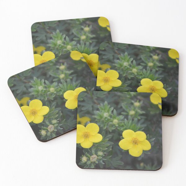 Item preview, Five, No, Ten designed and sold by Tessia Photography.