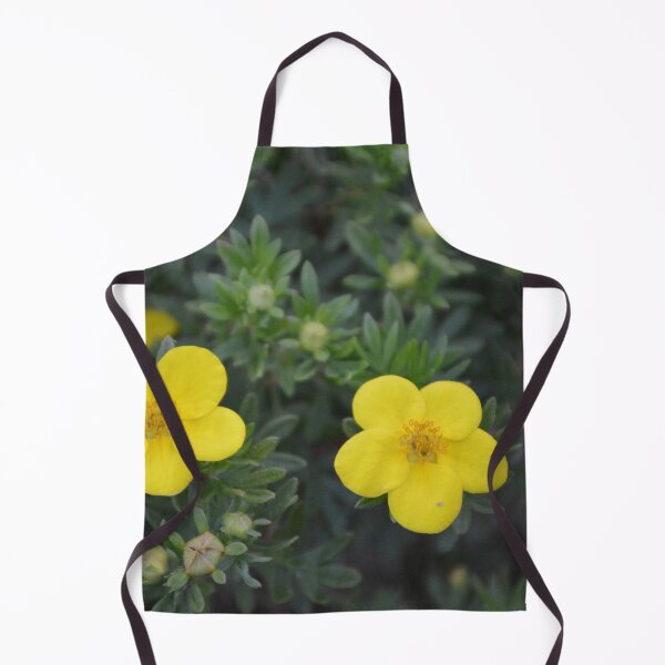 Item preview, Five, No, Ten designed and sold by Tessia Photography.