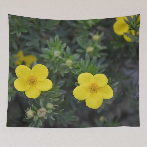 Item preview, Five, No, Ten designed and sold by Tessia Photography.