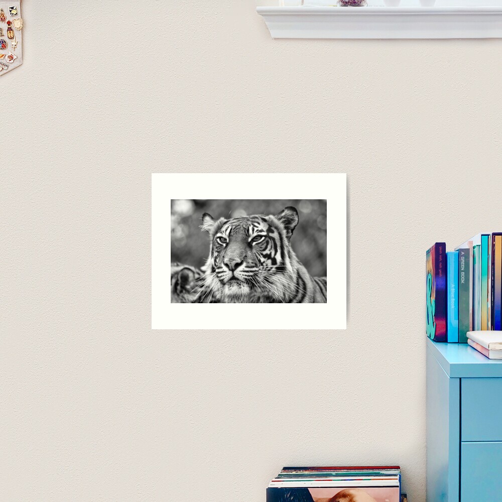 Watching you Art Print