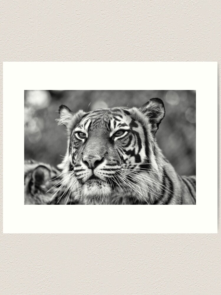 Alternate view of Watching you Art Print