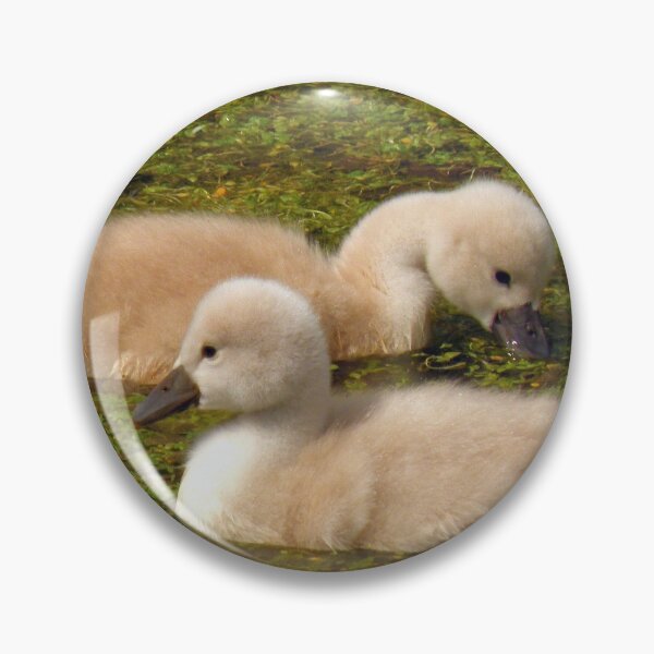 Item preview, Soft & Fluffy Cygnets designed and sold by Jo Nijenhuis.
