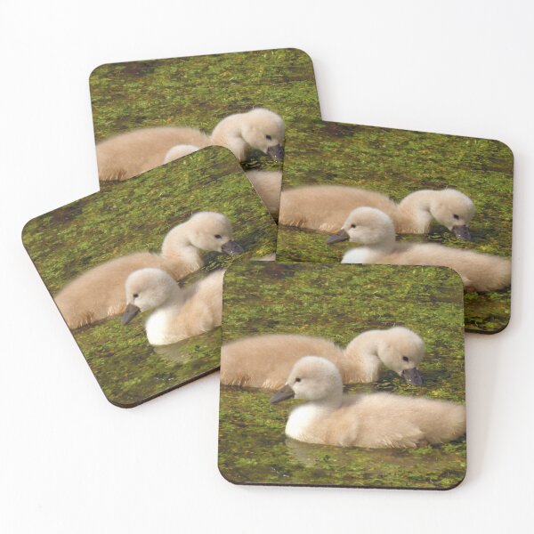 Item preview, Soft & Fluffy Cygnets designed and sold by Jo Nijenhuis.