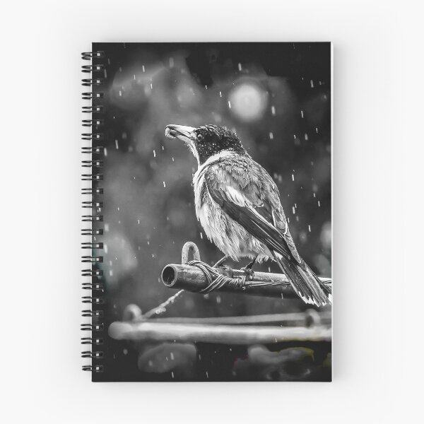 Item preview, early bird designed and sold by Michelle Honey.