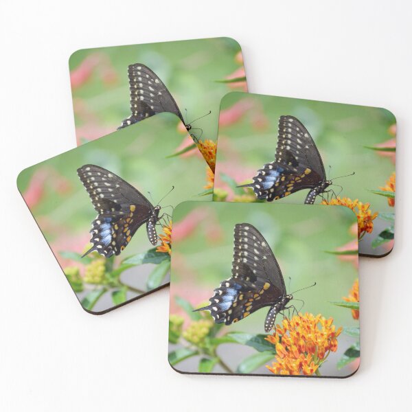 Item preview, Black Swallowtail Butterfly designed and sold by Tessia Photography.
