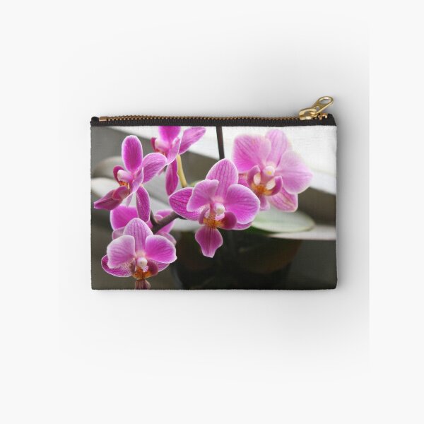 Item preview, Sisters On A Windowsill designed and sold by Colour Of Rice.