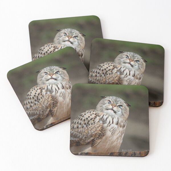 Item preview, Angry cat-owl designed and sold by koty-vezde.