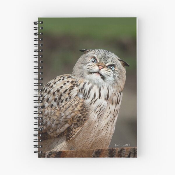 Item preview, Angry cat-owl designed and sold by koty-vezde.