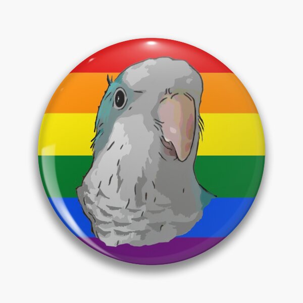Aperçu de l'œuvre Ori Rainbow Pride (perroquet Quaker) créée et vendue par Sentoki.