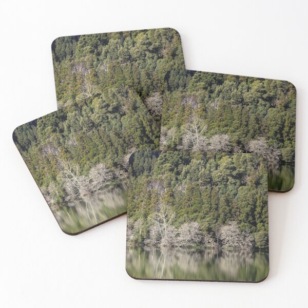 Item preview, In the woods, reflection of trees in water. designed and sold by AylaHarbich.