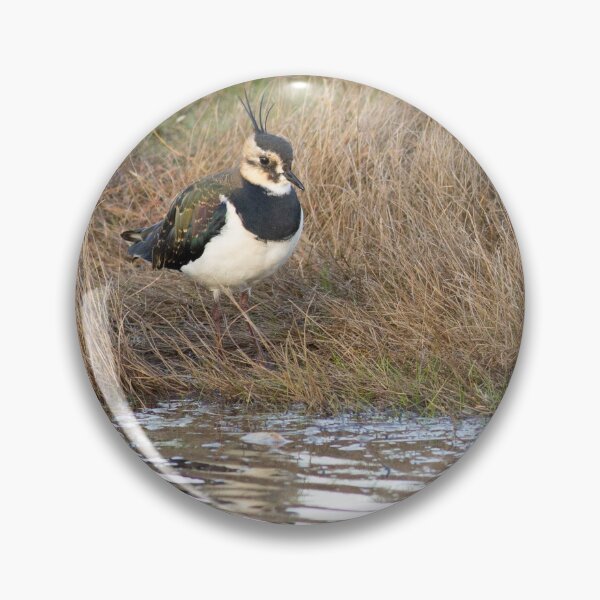 Item preview, Lapwing portrait designed and sold by Mya Bambrick.