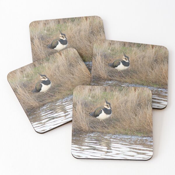 Item preview, Lapwing portrait designed and sold by Mya Bambrick.