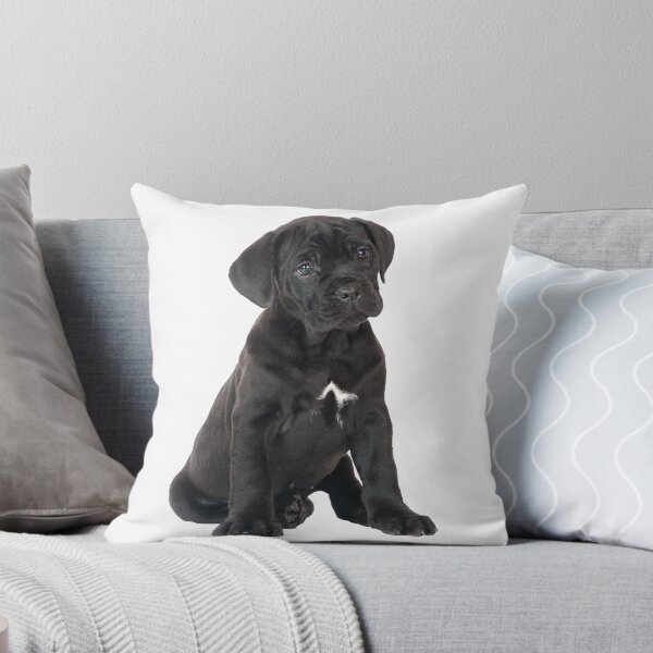 Item preview, Cane Corso Puppy designed and sold by WearItOwnIt.