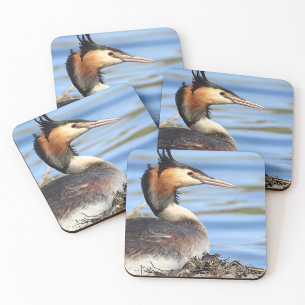 Item preview, Great crested grebe designed and sold by Mya Bambrick.