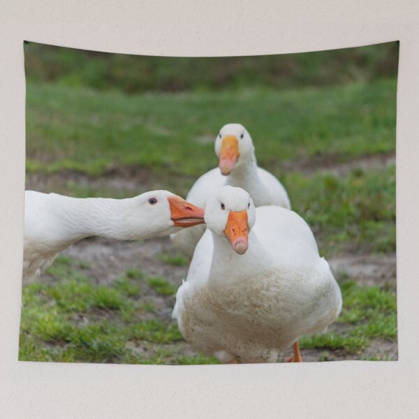 Item preview, Domestic goose appears to be whispering in the ear to a similar designed and sold by brambillasimone.