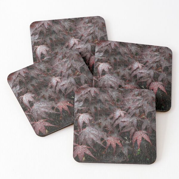 Item preview, Rain on Acer leaves designed and sold by Leighton Collins.