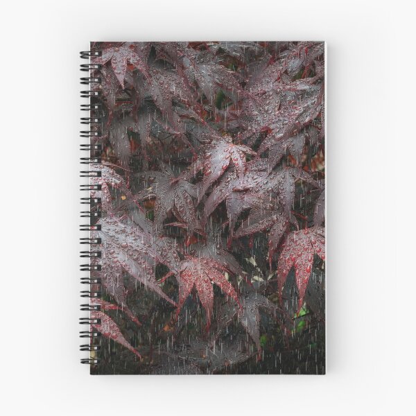Item preview, Rain on Acer leaves designed and sold by Leighton Collins.