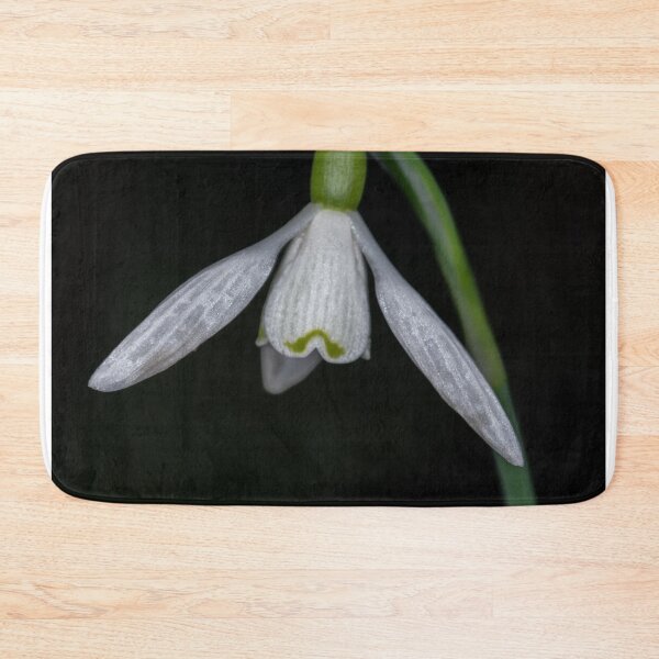 Item preview, Snowdrop designed and sold by Steve Purnell Photography.