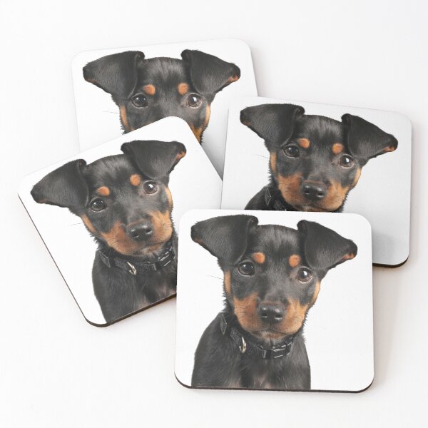 Item preview, Miniature Pinscher Puppy designed and sold by WearItOwnIt.