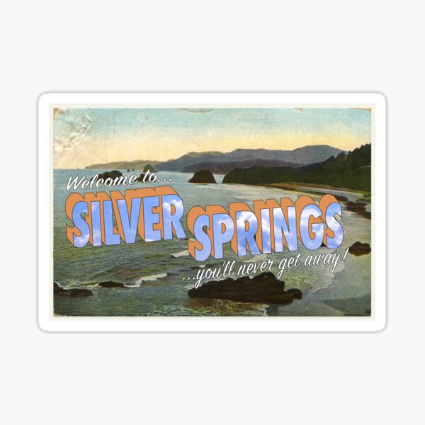 Fleetwood Mac Silver Springs Sticker