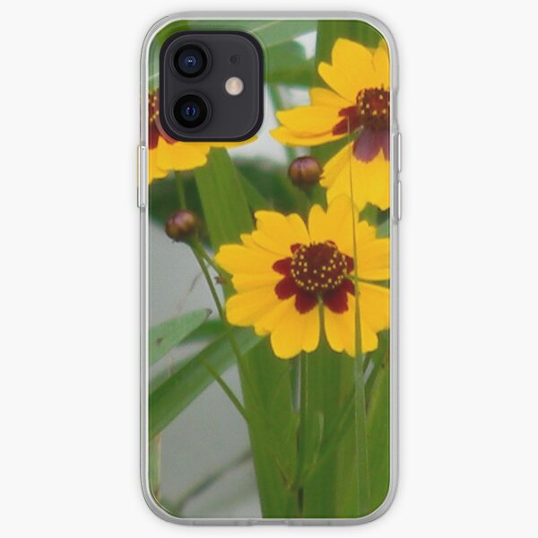 Plains Coreopsis With Buds iPhone Soft Case