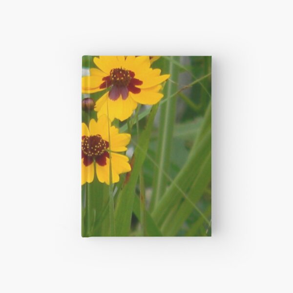 Plains Coreopsis With Buds Hardcover Journal