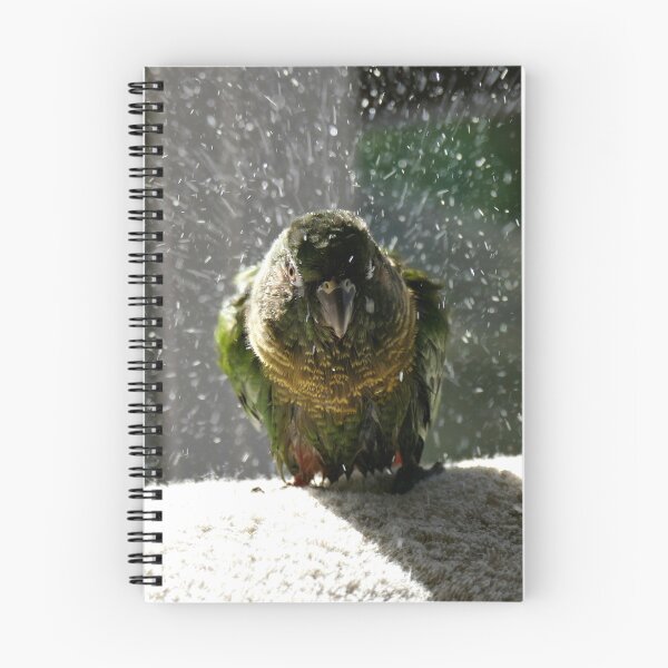 Item preview, Shake, Rattle And Roll - Maroon-Bellied Conure NZ designed and sold by AndreaEL.
