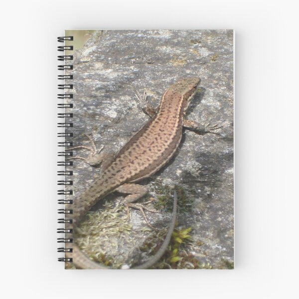Item preview, Little lizard designed and sold by Hilly366.
