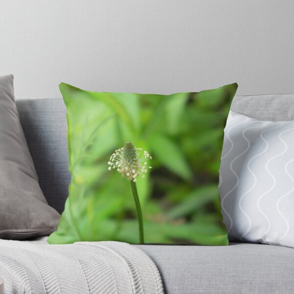 Item preview, Narrowleaf Plantain, Ribwort designed and sold by Navigator.
