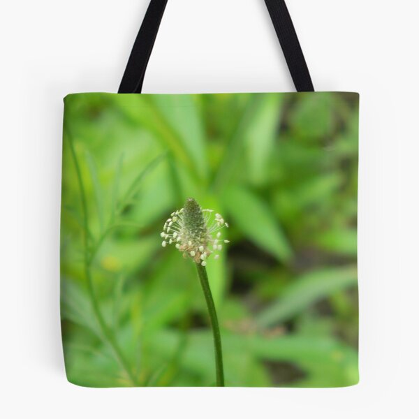 Item preview, Narrowleaf Plantain, Ribwort designed and sold by Navigator.