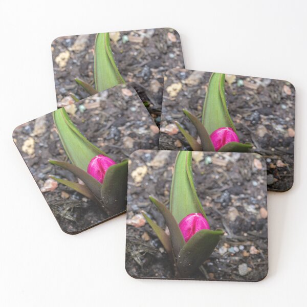 Item preview, Waiting To Bloom designed and sold by Steve Purnell Photography.
