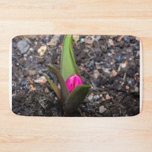 Item preview, Waiting To Bloom designed and sold by Steve Purnell Photography.